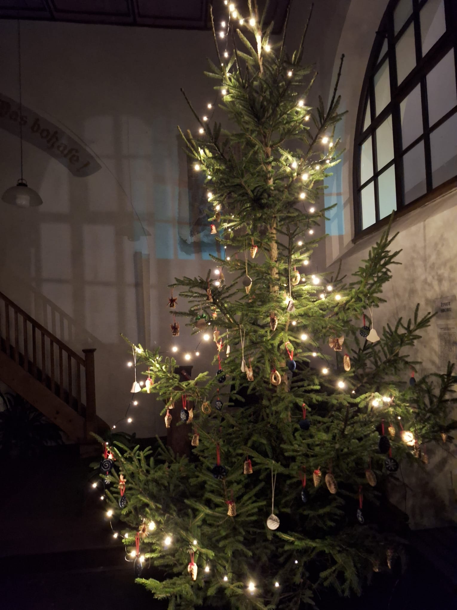 0752820f-a095-406f-9a64-ec5db88adfdb