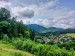 5bfe6760-7626-40bb-adf1-d9d698dc9f9a